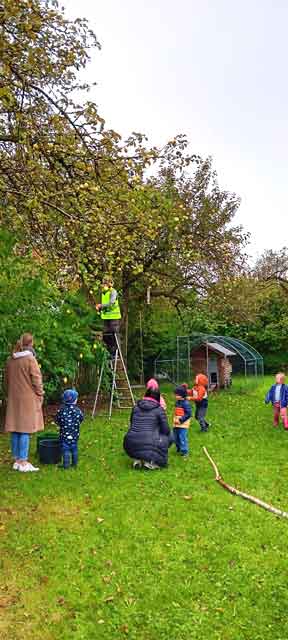 Kinder unter Apfelbäumen bei der Apfelernte