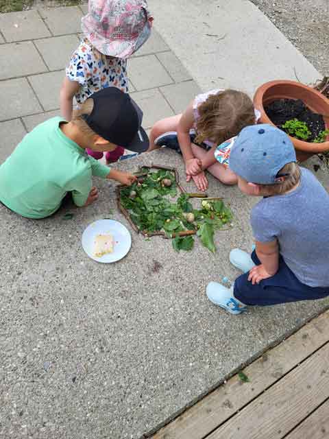 Kinder beim Gartenaktions-Nachmittag spielen mit Schnecken auf Blättern