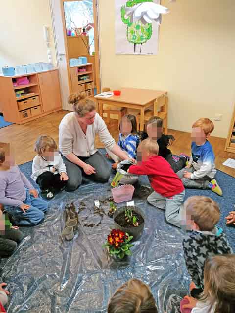 Verschiedene Frühblüher pflanzen wir ein