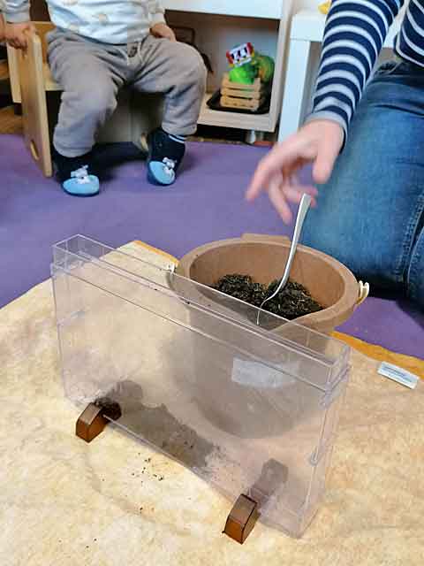 Vorbereituungen zum Einpflanzen mit Blumenerde