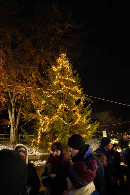 Riederauer Adventsmarkt 2024 - großer Weihnachtsbaum steht im Garten der neuen Holzmodulanlage