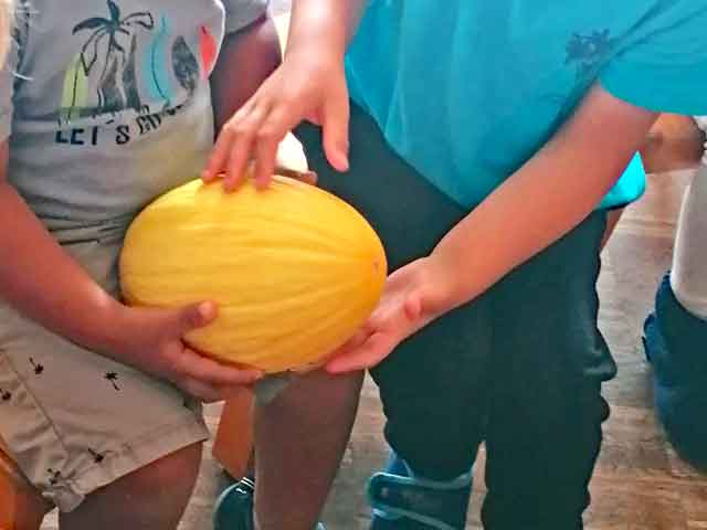 Kinder halten eine gelbe Melone in der Hand